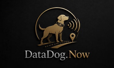 Datadog.Now