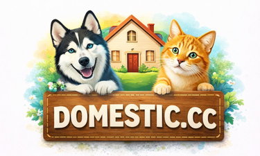 Domestic.cc