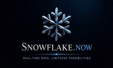Snowflake.Now